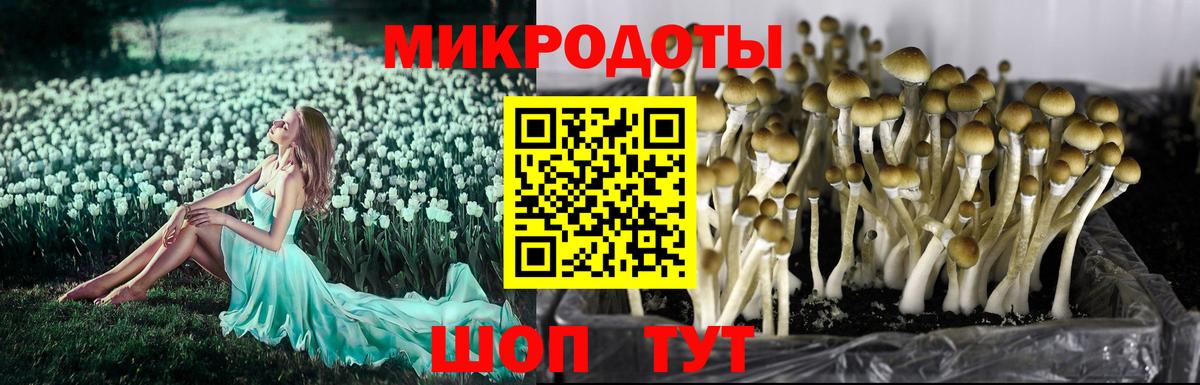 Галлюциногенные грибы Magic Shrooms Корсаков